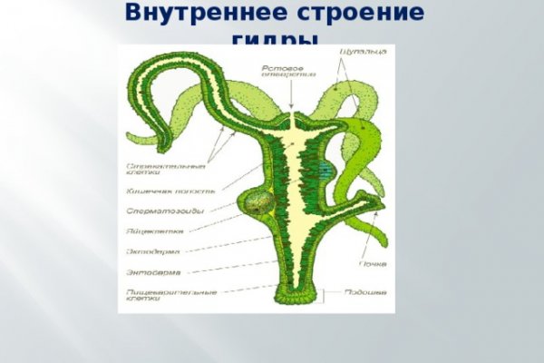 Блэкспрут рабочая ссылка blacksputc com