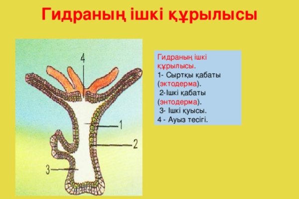 Кракен тгк